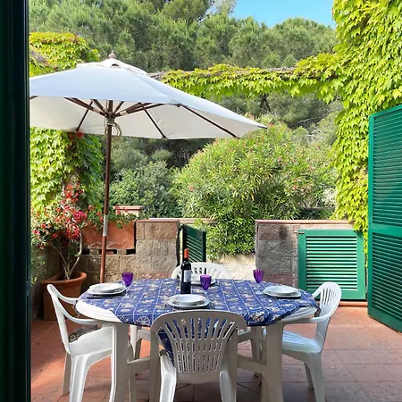 Sant'anna Del Volterraio - Strada Maestra 56 * Bagnaia (Livorno)